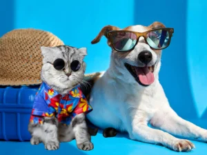 ✈️ TAKING YOUR PET ON HOLIDAY? DON’T RELY ON JUST A TRADITIONAL ID TAG🐾