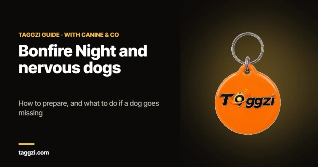 Bonfire Night and nervous dogs: how to prepare, and what to do if a dog goes missing