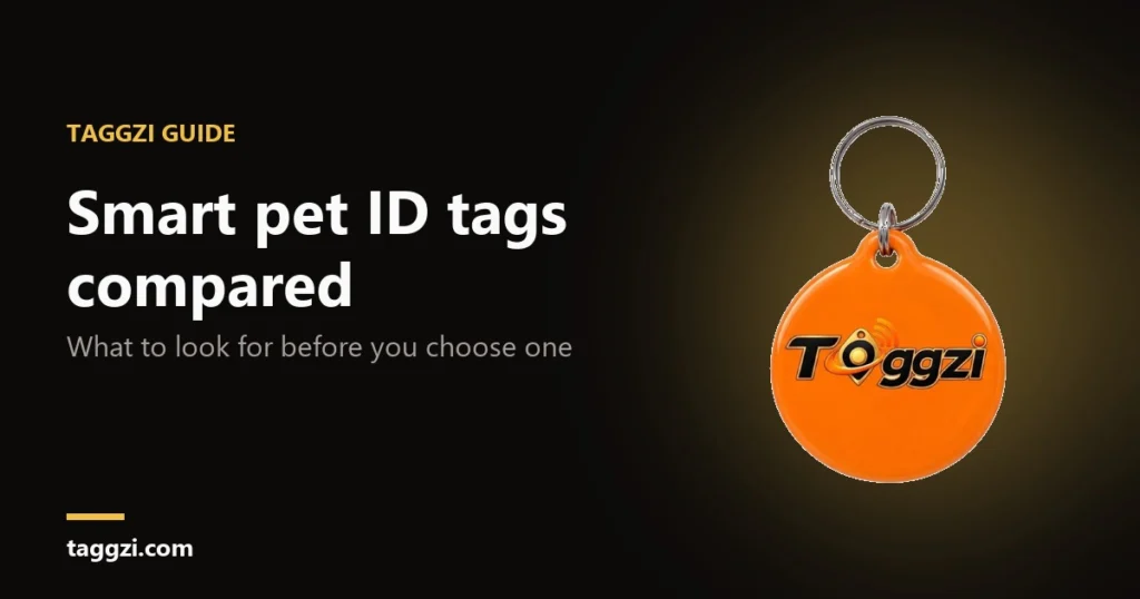 Smart Pet ID Tags Compared: What to Look For